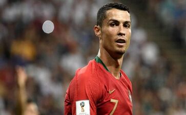 预算绩效管理工作方案